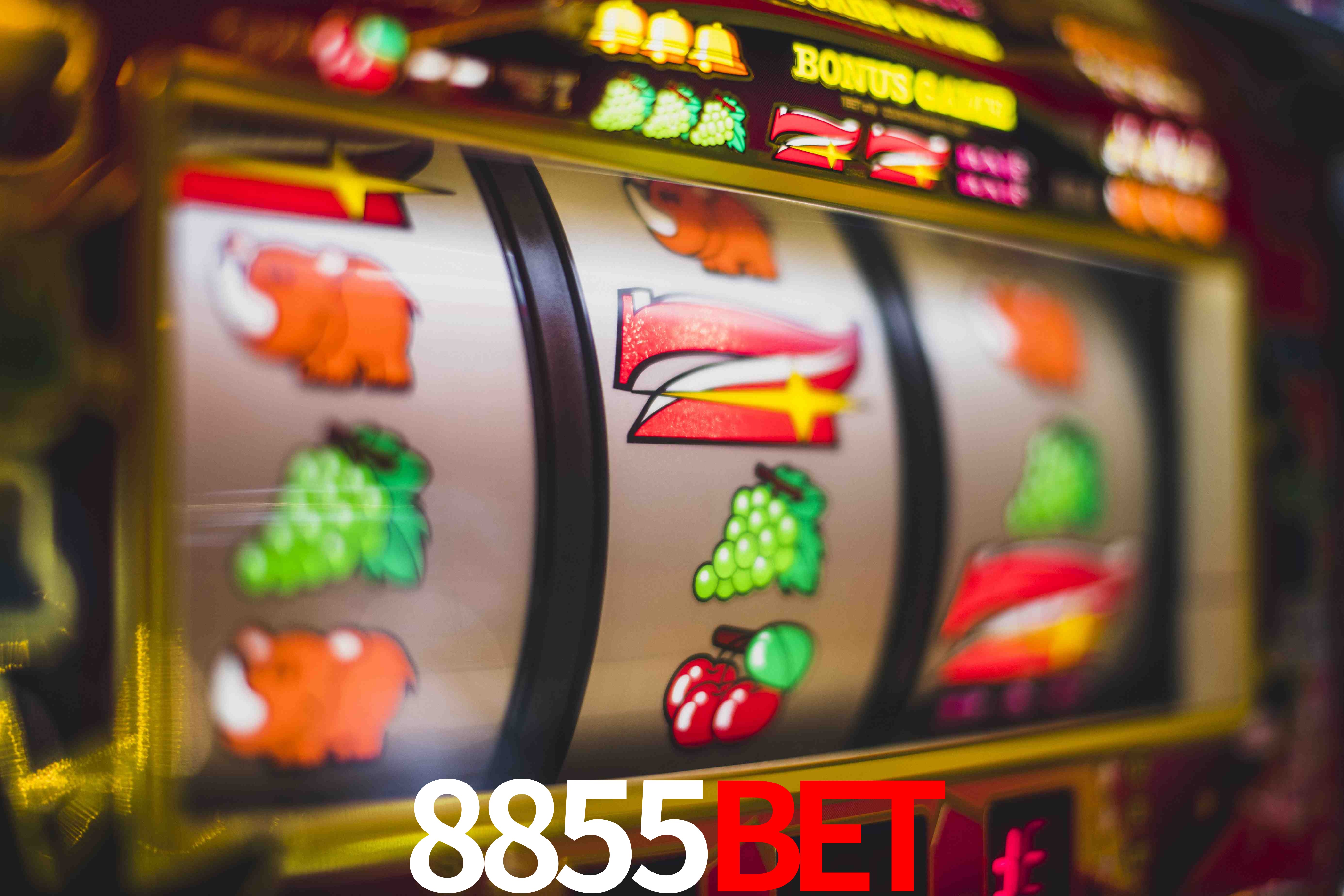 Crash Games Strategies 8855BET