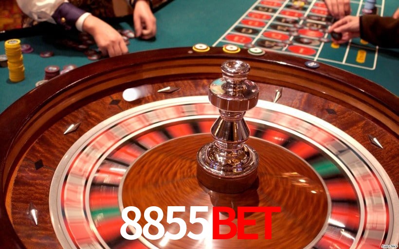Interface Premium 8855bet